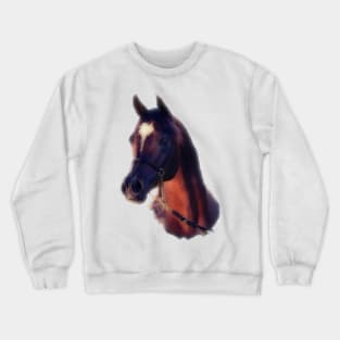 Arabian Stallion Crewneck Sweatshirt